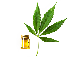 el aceite de cáñamo en la composición de Cannabis oil